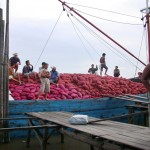 Approdo in Indonesia
