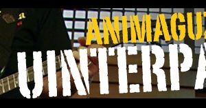 uinterparti 2013