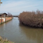 AnimaGuzzista Incontri Piove di Sacco