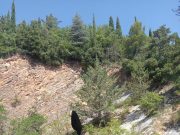 Come sono diventata Guzzista: Maria Tavoloni