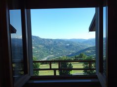 18° Gary&Carver, Nello